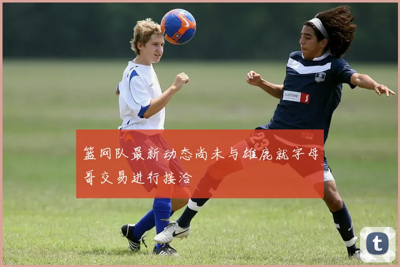 篮网队最新动态尚未与雄鹿就字母哥交易进行接洽